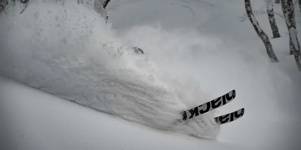 Ski poudreuse Japon