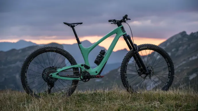 Bold Cycles