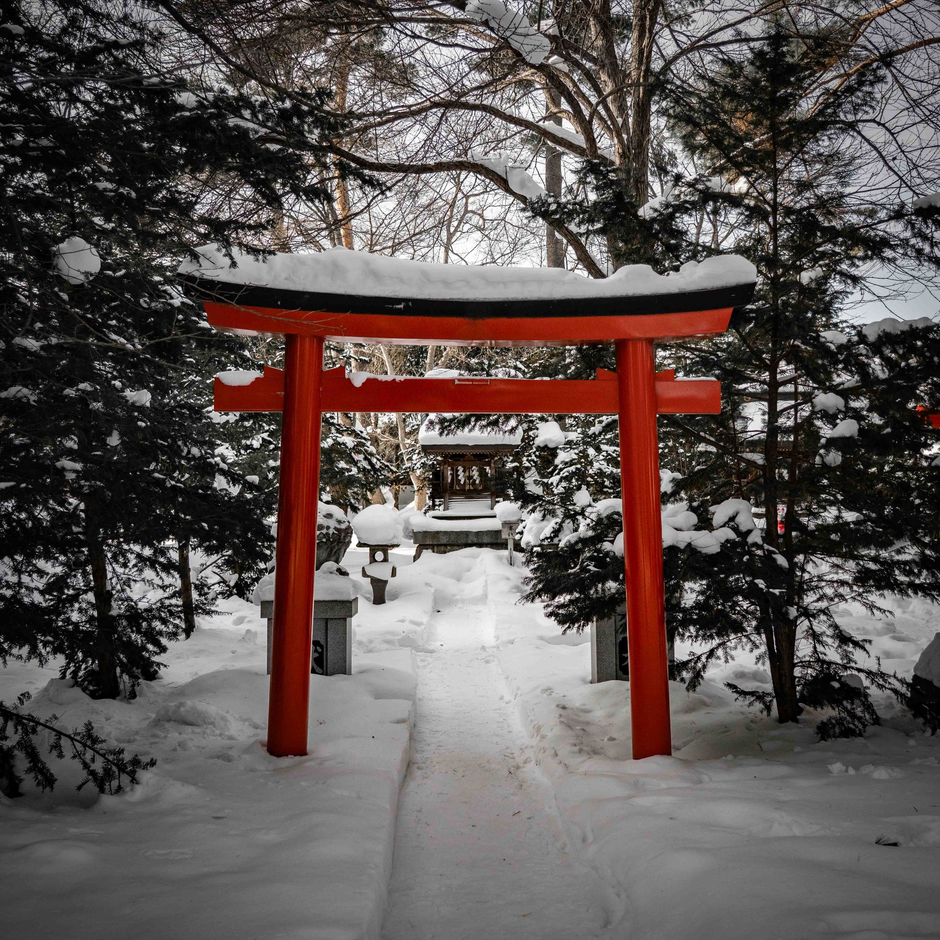 Tori Japon